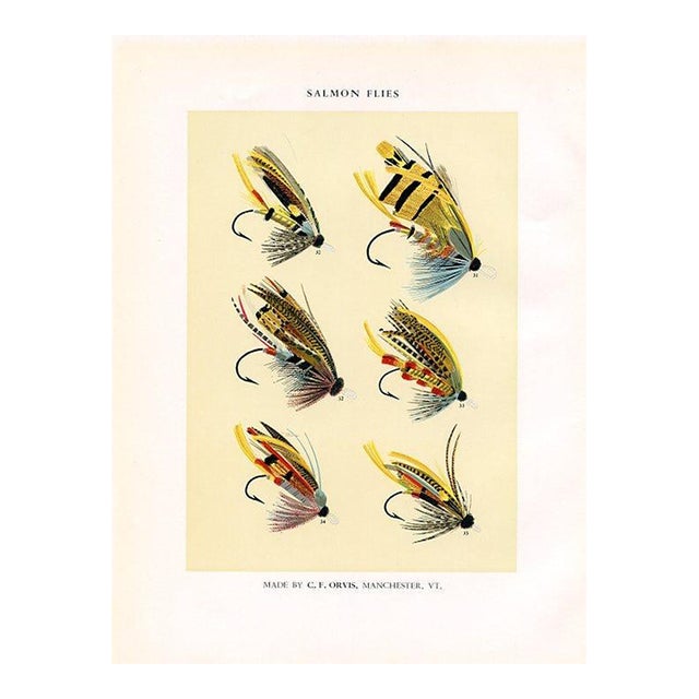 Vintage Salmon Fishing Flies Print by Charles Orvis, Original Vintage Fishing Print, Lithograph For Sale