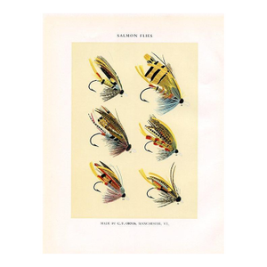 Vintage Salmon Fishing Flies Print by Charles Orvis, Original Vintage Fishing Print, Lithograph