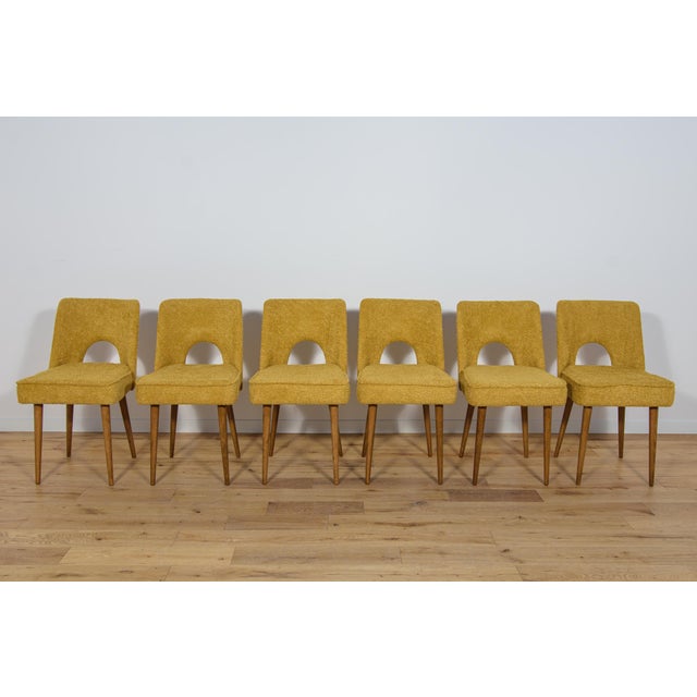 1960s Set of Polish Shell Chairs from Bydgoszcz Furniture Factory, 1960s For Sale - Image 5 of 18
