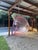 Very cool vintage-style hanging Bubble Chair with a transparent pink-tinted shell, metal rim and hanging chain. Classic...