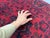 Red and Navy Tribal Geometric Runner Rug, 2'9" X 15'6" For Sale - Image 14 of 17