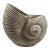 Vintage Whitewashed Brass Nautical Seashell Planter For Sale