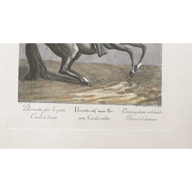 Mid 20th Century Mid 20th Century Equestrian Dressage Prints After Johann Elias Ridinger - a Pair For Sale - Image 5 of 8
