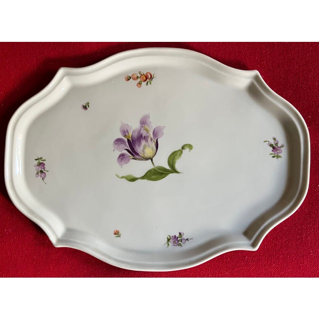 Antique 19th century Nymphenburg porcelain tray or platter decorated with a large parrot tulip surrounded by sprig...