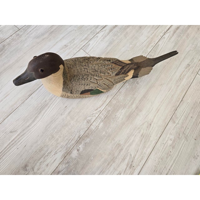 1975 Bob Sitton Hand-Carved Northern Pintail Life-Size Duck Decoy - Rare First Year For Sale - Image 11 of 12