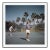 Tennis in San Diego 1956 A man and a woman playing tennis on a court surrounded by palm trees, San Diego, California,...