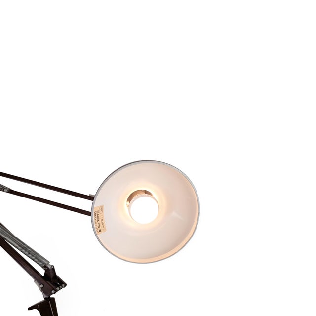 Type 231 Table Lamp from Ledu For Sale - Image 6 of 8