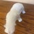 Mid-Century Danish-Style Glazed Porcelain Walking Polar Bear Small Sculpture For Sale In Minneapolis - Image 6 of 10