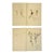 Pair of 19th-Century German Botanical Herbarium Sheets With Ranunculus Specimens (C. 1850) For Sale