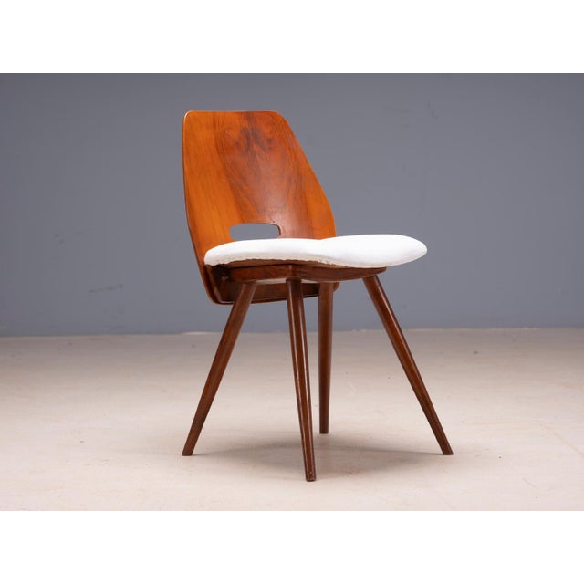 Wood Vintage Chairs Tatra Pravenec Gentleman Mid-20th Century, Czechoslovakia, 1950s, Set of 4 For Sale - Image 7 of 9