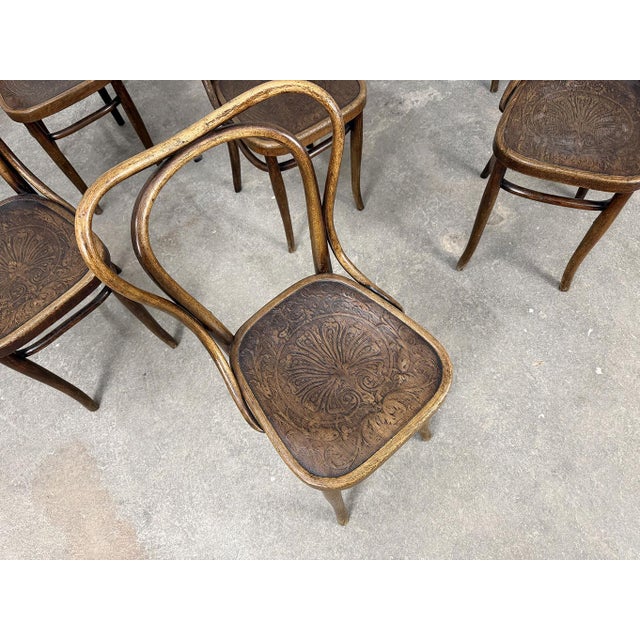 Bistro Chairs from Thonet, 1920, Set of 12 For Sale - Image 6 of 9