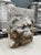Authentic 19th Century French Carved Stone Lion Fountain Element For Sale - Image 12 of 17