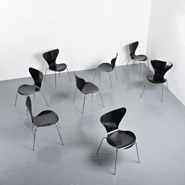 Set of model 3107 "Series 7" chairs designed by Arne Jacobsen in 1955. Made of molded, black lacquered plywood resting on...