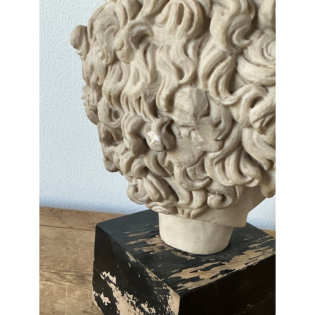 Vintage Boho Cast Marble Bust of Marcus Aurelius For Sale In West Palm - Image 6 of 12