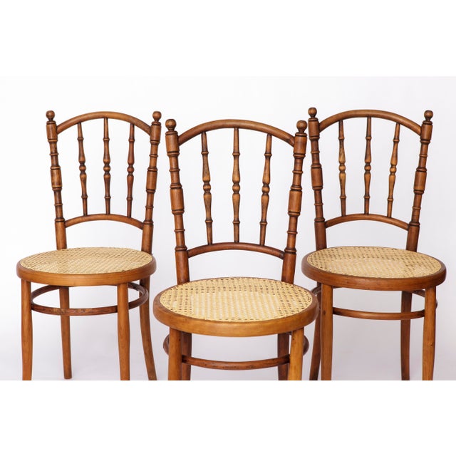 1950s Vintage Austrian Bentwood Chairs from Jacob & Josef Kohn, 1950s, Set of 4 For Sale - Image 5 of 10