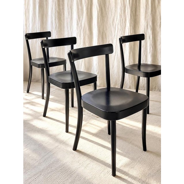 1-250 Dining Chairs in Wood by Werner Max Moser, Set of 4 For Sale - Image 10 of 10