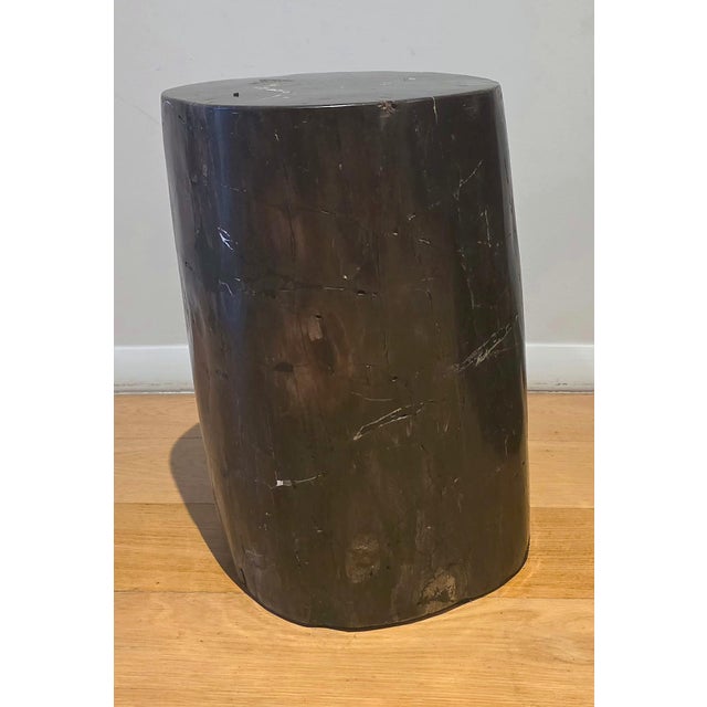 Pair of Indonesian Petrified Wood Side Tables, Bali, Organic Modern, C. 2000s For Sale In New York - Image 6 of 7