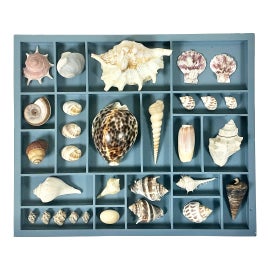 Example of Home Accents
