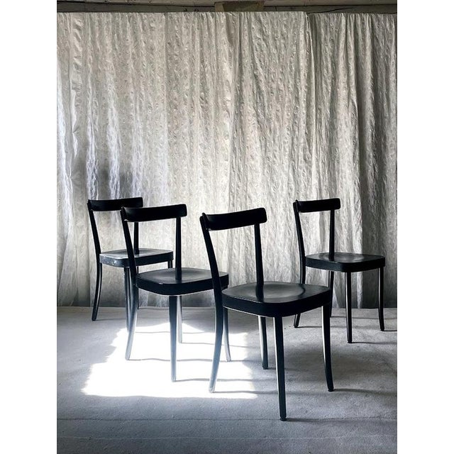 1-250 Dining Chairs in Wood by Werner Max Moser, Set of 4 For Sale - Image 4 of 10