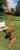 1970s Witco Carved Wood Artist's Easel For Sale - Image 9 of 9