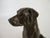 Figurative Dan Ostermiller, Bronze Dog, Lab, Labrador Sitting Statue, Wooden Bace Artist Signed: 1995, 2/20 For Sale - Image 3 of 18