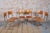 Vintage Bauhaus Chairs in Beech and Chrome, Czech, 1930s, Set of 8 For Sale - Image 9 of 12