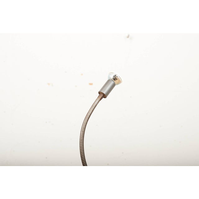 Tree Tops Light Floor Lamp with Concrete Base Dark Grey Metal Stem by Ron Arad for Barton, 1983 For Sale - Image 6 of 13