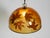 Large Italian Resin Pendant Lamp with Embedded Maple Leaves, 1970s For Sale - Image 12 of 18