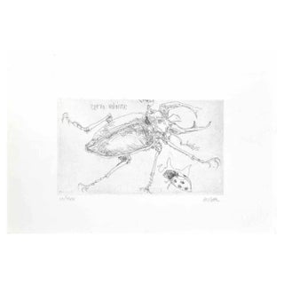 Sergio Barletta, Insects, Etching, 1974 For Sale
