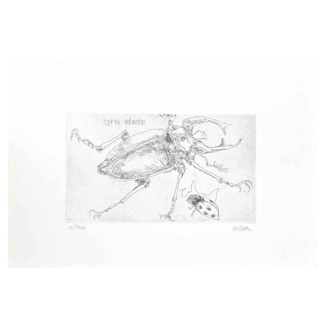 Sergio Barletta, Insects, Etching, 1974 For Sale