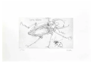 Sergio Barletta, Insects, Etching, 1974