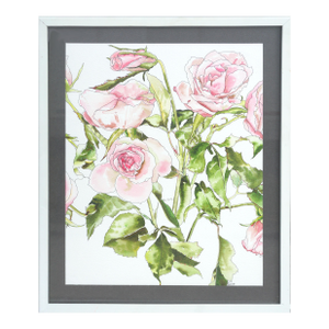 Light Pink Roses - Botanical Study by Deborah Eddy