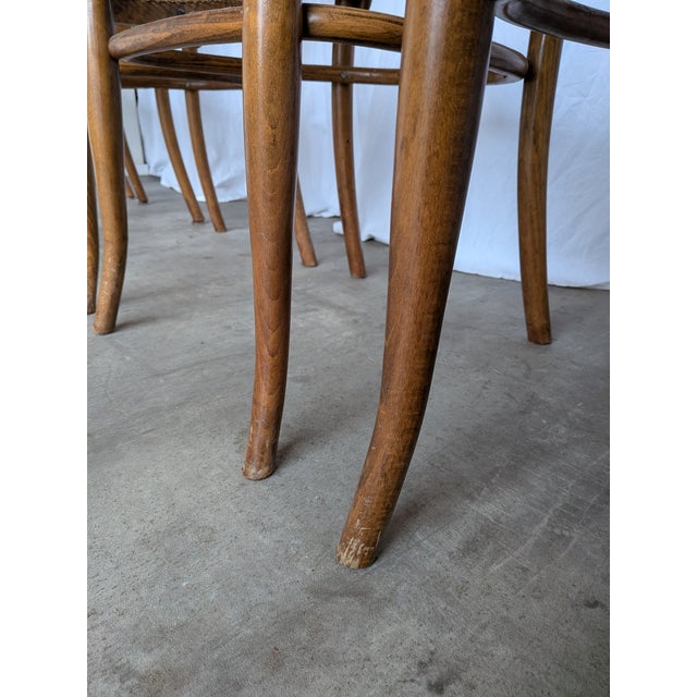 Vintage Bentwood Cane Dining Chairs, 1970s, Set of 6 For Sale - Image 6 of 18