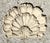 Mid-Century Modern Vintage Concrete Shell Wall Plaque For Sale - Image 3 of 17