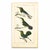 19th-Century Hummingbird Study | Set of 4 Buffon Hand-Colored Antique Bird Prints For Sale In Columbus - Image 6 of 6