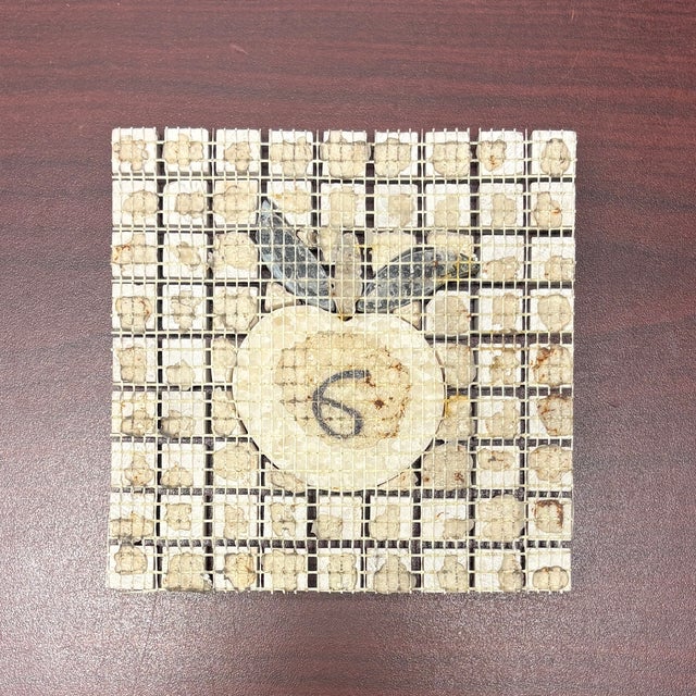 Botticino Marble / Rosa Crystal Marble / Verde Saltan Marble / Café Brissac Limestone Polished Peach Decorative Mosaic For Sale - Image 4 of 4