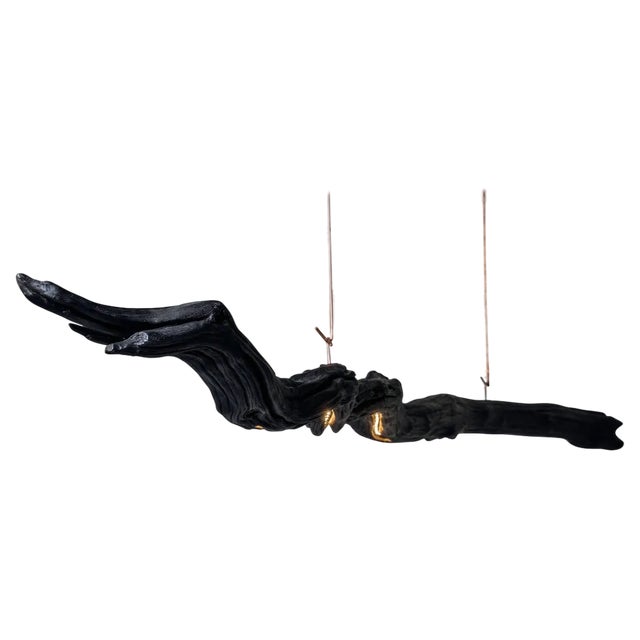 Burning Ego Light Suspension by Wim Verzantvoort For Sale