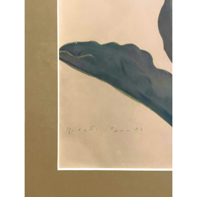 1940s Electra Tulip Lithograph Print For Sale In Washington DC - Image 6 of 6