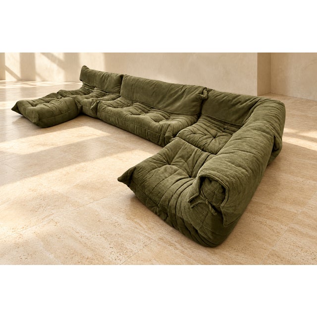 Set of 5 Togo Modular Sofa by Michel Ducaroy for Ligne Roset, 1970s For Sale In Los Angeles - Image 6 of 11