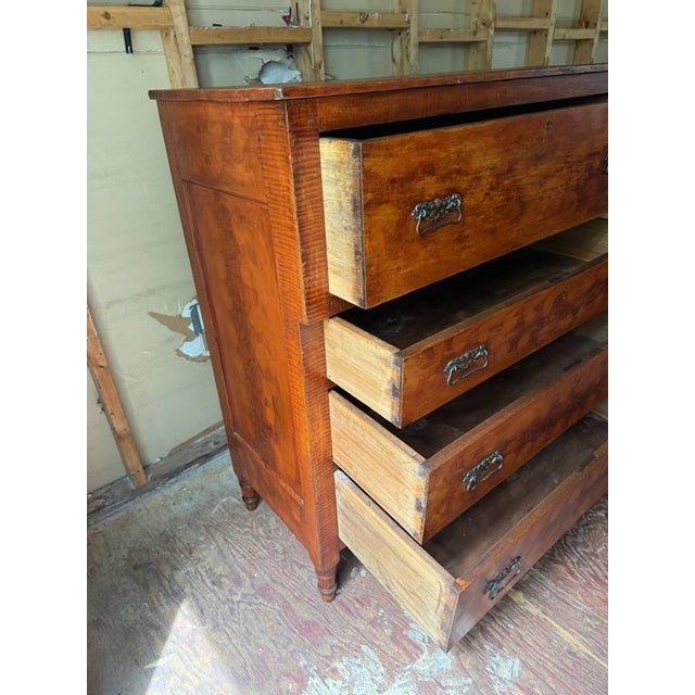 Antique Federal Style Burled Wood Tiger Maple Chest of Drawers For Sale - Image 16 of 18