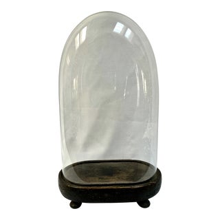 1800s French Cloche on Oval Wood Footed Stand For Sale