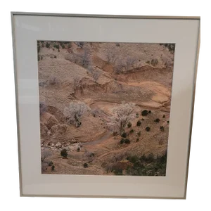 Stephen Strom Photography Cotton Woods Winter Canyon De Chelly 2000s Archival Pigment Ink