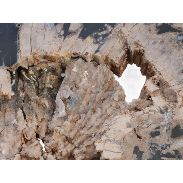 Not Yet Made - Made To Order Petrified Wood Coffee Table with Crystals by Xyleia Petrified Wood For Sale - Image 5 of 6