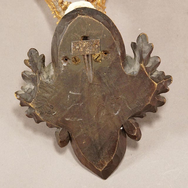 1950s Great Deer Trophy Mount on Wooden Carved Plaque 1959 For Sale - Image 5 of 5