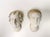Renaissance Vintage Plaster Reproductions of 4 Heads From the Wawel Collection, Poland - Set of 4 For Sale - Image 3 of 17