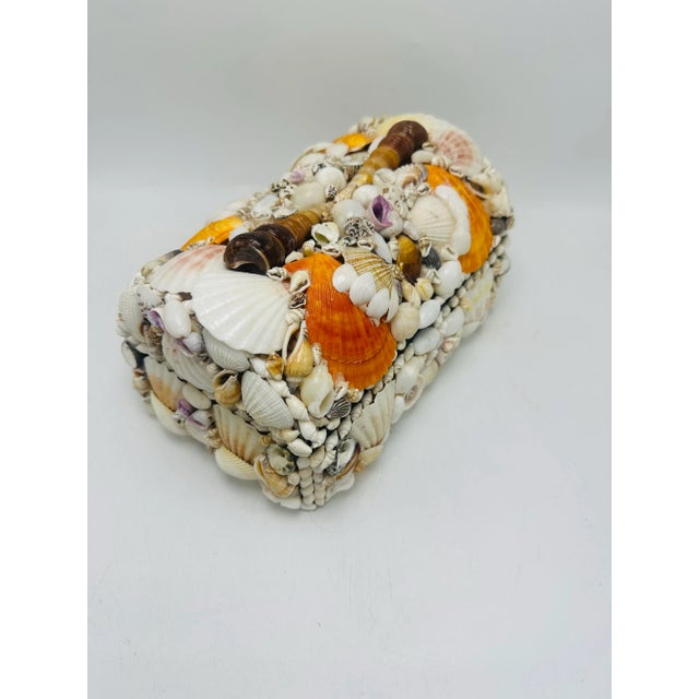 Coastal Vintage Domed Shell Box For Sale - Image 3 of 9