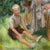 Textile 1960s Impressionist Oil Painting: Listed Maine Artist Emily Muir (1904–2003) Large Figural Garden Scene With Mother and Children, Oil on Canvas For Sale - Image 7 of 8