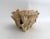 Late 20th Century Exceptional Natural Unbleached Poca Coral Specimen For Sale - Image 5 of 8