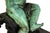 French Patinated Copper Sculpture of Seated Cherub After Charles Lemire For Sale - Image 15 of 18