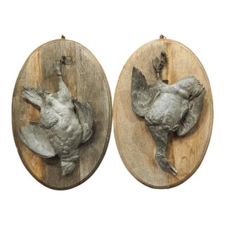 Pair of Circa 1890 Weathered French Hunt Trophies on Natural Oak Oval Panels For Sale